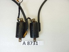 Coppia bobine Tec FL 804-6V