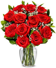 - Una dozzina di rose rosse a