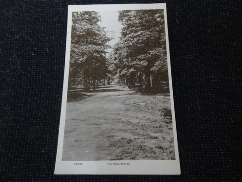 The pines woking postcard - the,