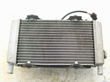 RADIATORE ACQUA PER APRILIA ATLANTIC 250 SPRINT DEL 2005 (e34870)