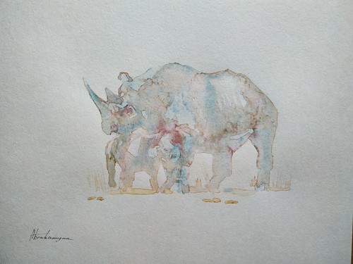 Rinoceronte animale opera - animale,,