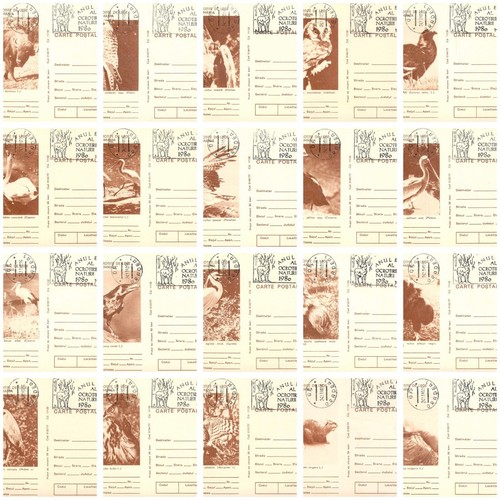 Set cartoline postali - 20,