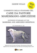 Commento dello Standard del