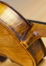 Vecchio violino - violino,