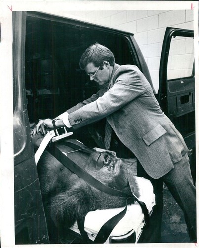 1981 jonathan gorog denver - jonathan,