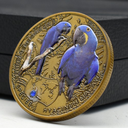 Hyacinth macaw gold plated - macaw,