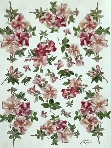 Carta decoupage formato - ,