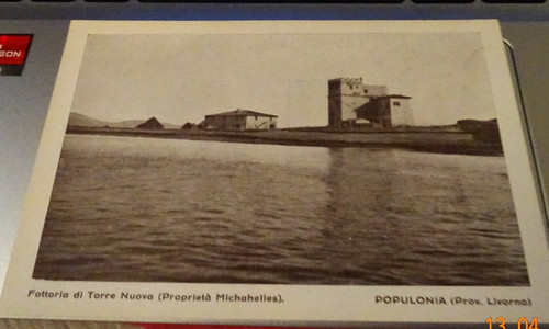 Populonia livorno fattoria - populonia,