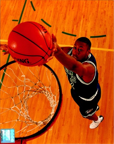 Donyell marshall timberwolves - marshall,