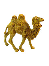 Cammello in Piedi per Pastori