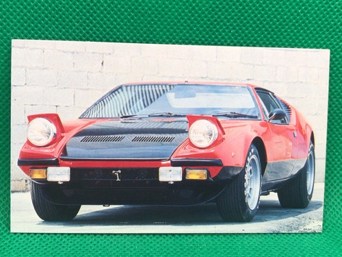 Scheda tomaso pantera - scheda,