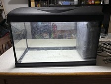 Acquario Amtra 60 litri Completo ?