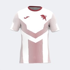 MAGLIA PRE GARA TORINO FC