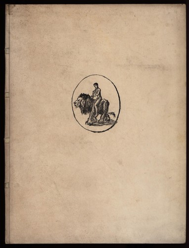 Goethe romanzo edizione - goethe,,