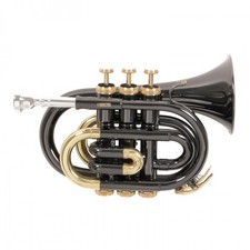 Roy Benson tromba sib pocket