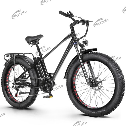 Bicicletta elettrica mountain