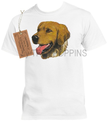 Shirt retriever golden - t-shirt,