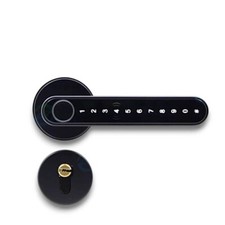 Serratura Smart con Maniglia e