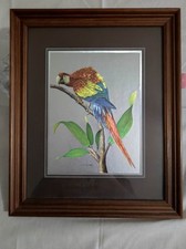 Quadro Con Pappagallo Cornice In Legno