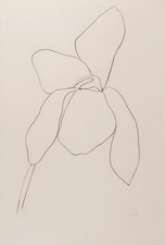 Stampa d'arte Ellsworth Kelly