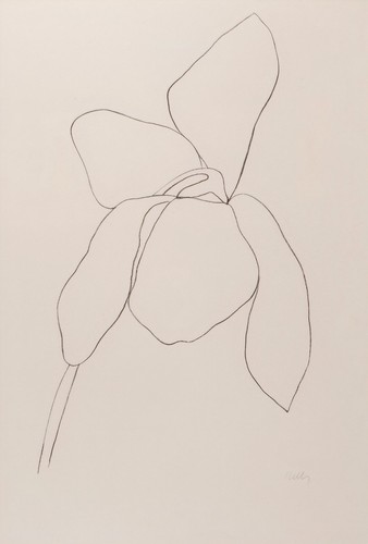 Stampa arte ellsworth kelly - d'arte,