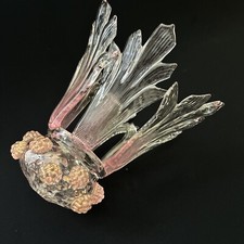 Tazza 16x17cm Coppa Vetro