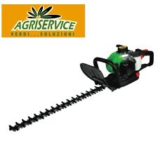 Tagliasiepe a scoppio 2 tempi