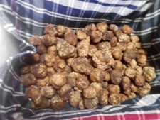 200 GR TARTUFO BIANCHETTO