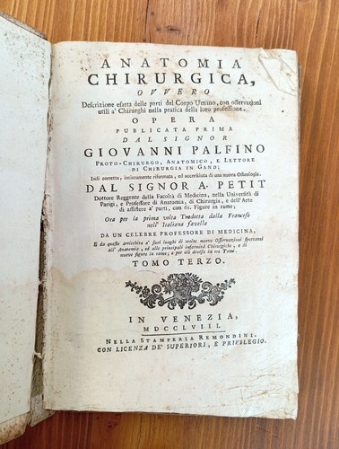 Palfino palfijn anatomia - g.,