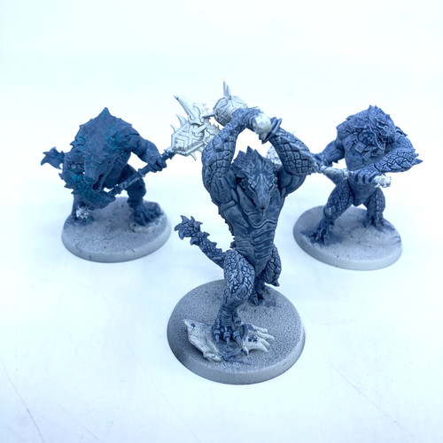 Seraphon kroxigor - -,