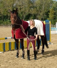 Women's Riding Pants