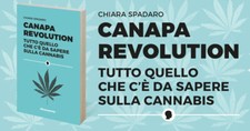 CANAPA REVOLUTION 🌳 TUTTO