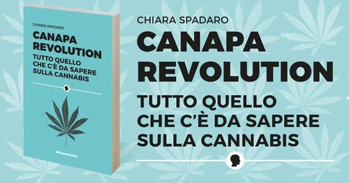 Canapa revolution tutto - revolution, 🌳