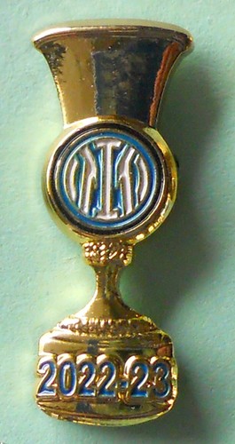 Distintivo spilla pin - distintivo,