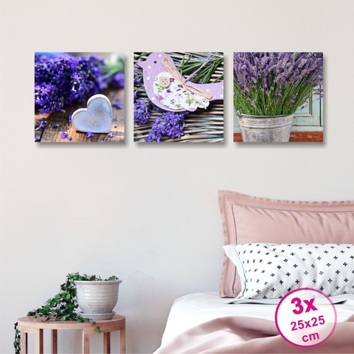 Tris lavanda quadri - -,