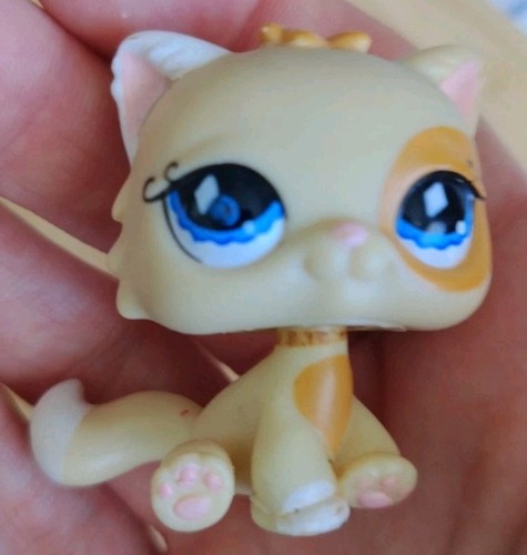 2006 littlest pet shop 521 - 2006,