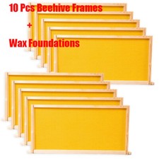 Confezione da 10 Cornici per