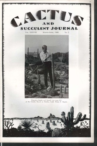 Cactus giornale succulento - cactus,