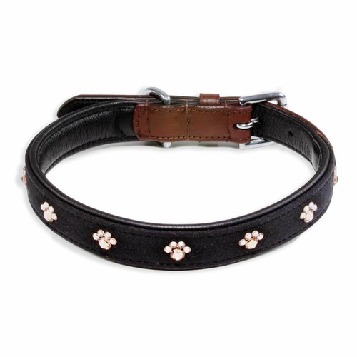 Collare per cani - ,