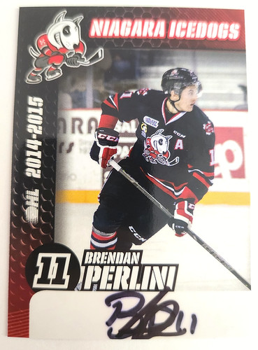 2014 niagara icedogs - 2014-15,