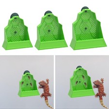 Mangiatoia per rettili con