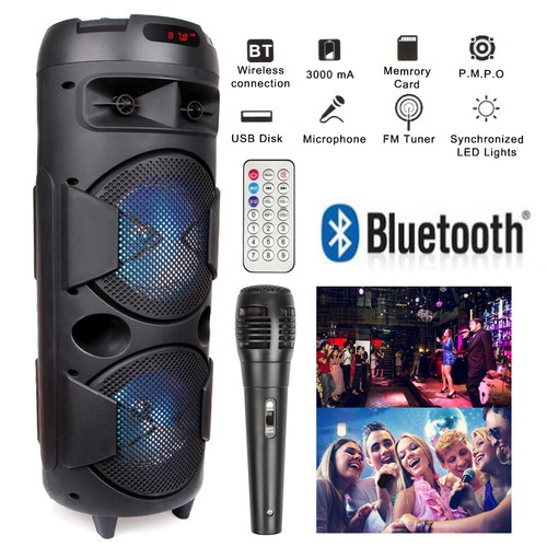 Dual woofer portable fm - woofer,