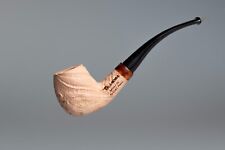 Pipa talamona arbutus DC -