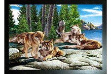 FAMIGLIA DI LUPI CON CORNICE