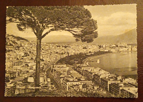 Cartolina napoli panorama - napoli,