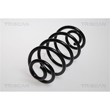 Molla Triscan posteriore per Opel Meriva