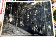 COM. DI PAISCO - LOVENO FUSTAIA MEDEL . VAL CAMONICA BRESCIA FOTO 13X17 CIRCA