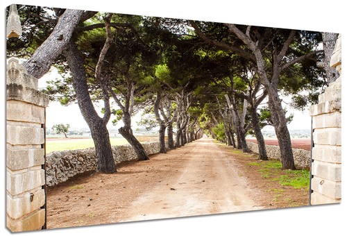 Quadro moderno paesaggio viale - quadro,