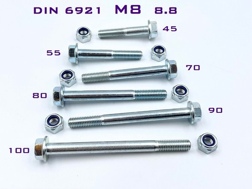 Pezzi vite con fascetta - 10,