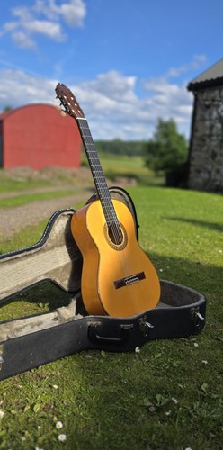 Chitarra flamenca firmata juan - chitarra,